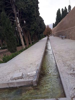 سفر تیم طبیعت گردی مرکز به کاشان ، روستای ابیانه و منظقه کویری: عکس شماره 4 / 12